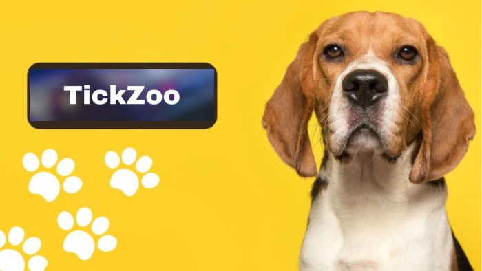 The Future Of Tickzoo: Possible Solutions